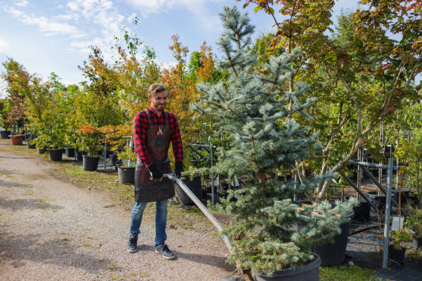 Best Leaf Removal  in Trussville, AL